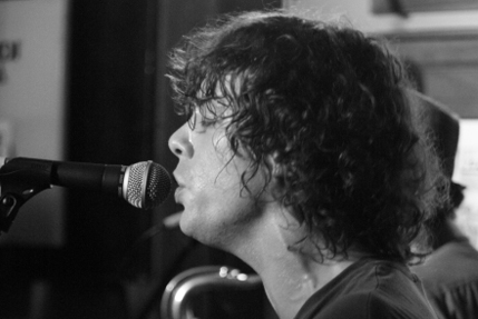the wombats